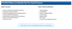 PricePerPlayer.com Pay Per Head Review