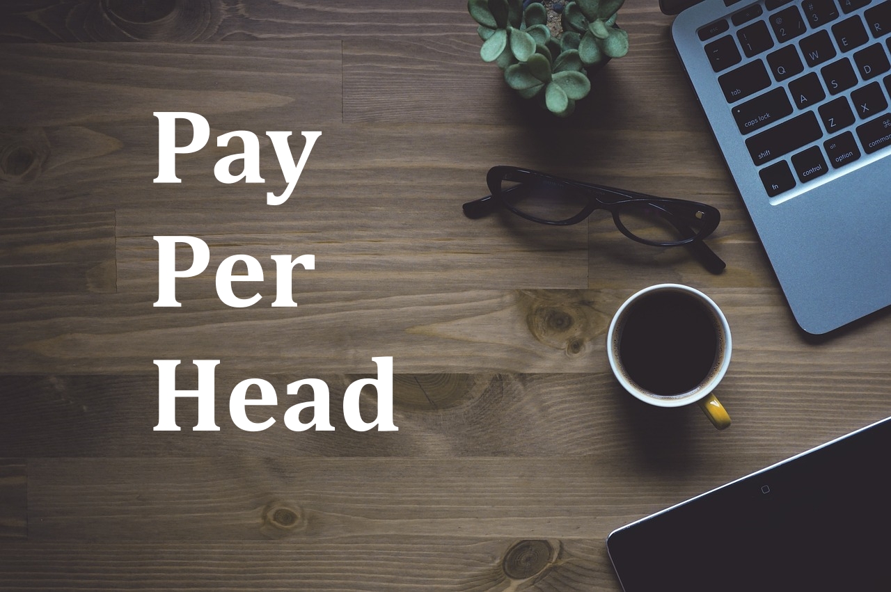 Why is Pay Per Head Software Called Pay Per Head?