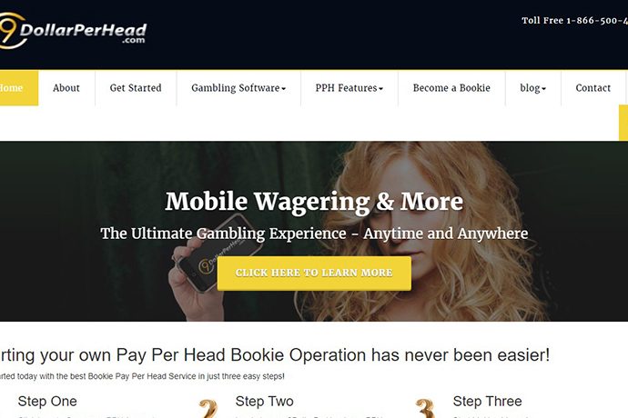 9DollarPerHead.com Pay Per Head Review